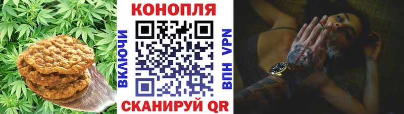 закладка  Саратов  Печенье с ТГК марихуана 