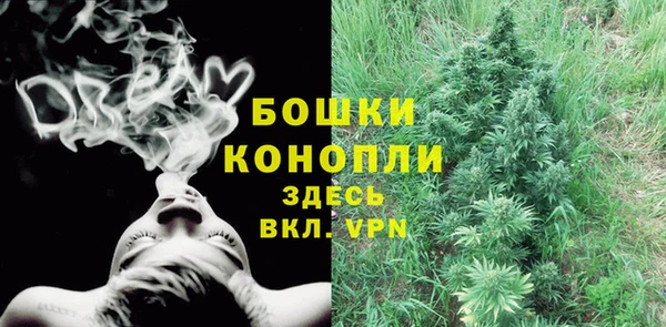 первитин Белокуриха